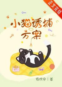 诱捕野猫