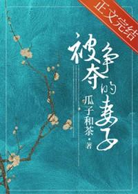 被争夺的妻子瓜子和茶免费阅读