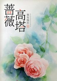 蔷薇zb