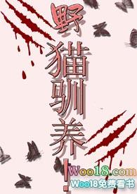 野猫驯养守则