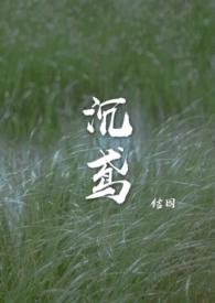 沉鸢讲了什么