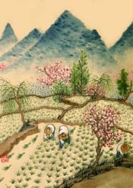 重生年代文的路人甲讲的什么