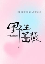 野生蔷薇(现言1V1 H)