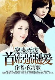 宠妻无度:首席强制爱