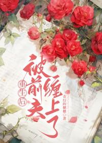 重生后,被前夫缠上了