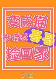 嘿，你的专属毛茸茸来啦